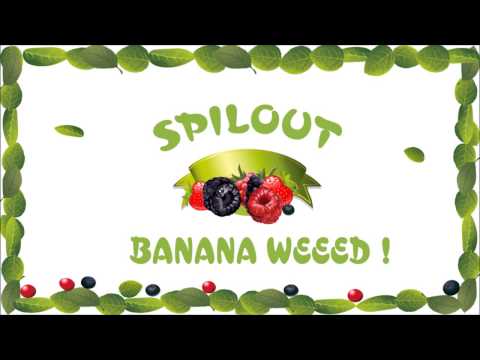 Spilout - Banana Weeed ! [EXTRACT]