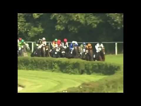 Dortmund, Preis des Dortmund Airport, 16.9.2012 - Sieger: Black President