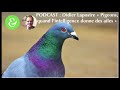 Partie 2 : Conférence de Didier Lapostre sur les pigeons