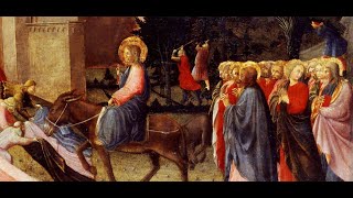 'diretta Santa Messa Domenica delle Palme' episoode image