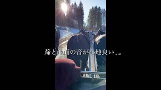 【行った気になる私目線】ミュンヘンは完全スルー。フランクフルト⇆ノイシュヴァンシュタイン城、カツカツ弾丸日帰り旅！