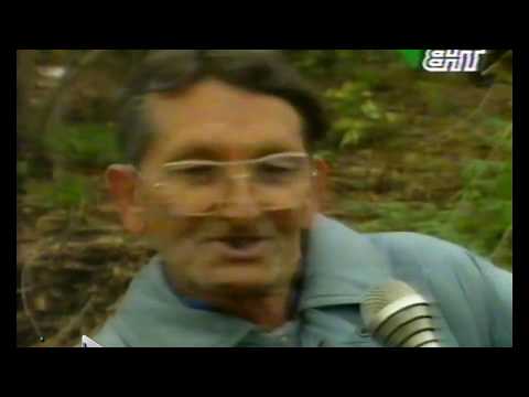 Zašto volimo Želju! 1996