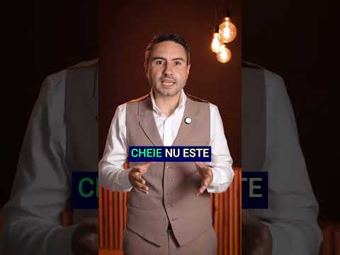 Ce sunt termenii de căutare