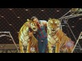 Ringling Bros And Barnum Bailey Circus