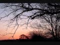 My Brightest Diamond - Goodbye Forever