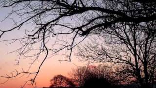 My Brightest Diamond - Goodbye Forever