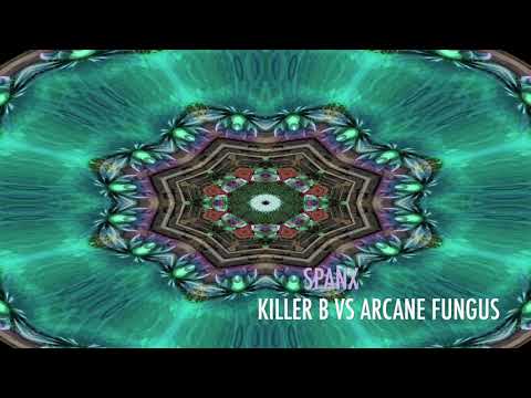 KILLER B VS ARCANE FUNGUS - Spanx ( V.A. Cosmic Unity compiled by Djane Elfie)