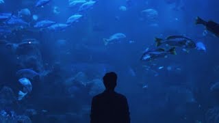 Download lagu Ardhito Pramono feat. Joan Elizabeth - Perlahan Menghilang mp3