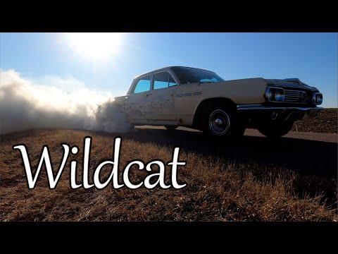 From ABANDONED to BADASS! Buick Budget Build (P5)