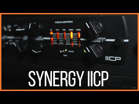 Synergy IICP image 5