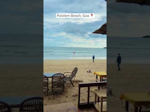 South Goa’s Paradise! Palolem Beach 🏖️#goa #southgoa #beach #travel