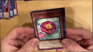 【開封の儀10】カルテシア狙いでBOX開封！