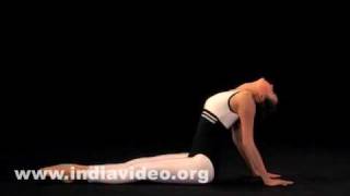 Purvottanasana (The Inclined Plane) - Female 