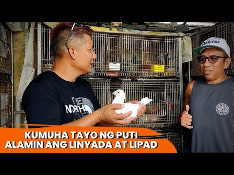 SIR.MANNY ZAMORA 1.DAGDAG PWERSA TAYO.CHAMPION NA PUTI.