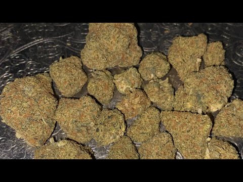 Oreo Runtz Strain Allbud