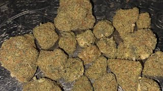 Oreo Runtz Strain Review