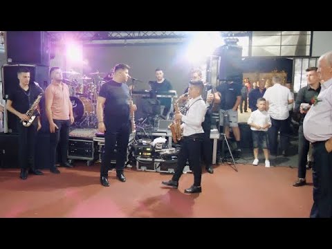 Dani Olan și Formația Timișul - Program instrumental live