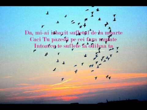 Ierusalim iubesc pe Domnul (versuri)