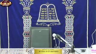 בית המדרש "תורת דוד" ¤ שידור חי ¤ כ"ב טבת תשפ"ו (11.1.2026) (מוסדות תורת דוד) - התמונה מוצגת ישירות מתוך אתר האינטרנט יוטיוב. זכויות היוצרים בתמונה שייכות ליוצרה. קישור קרדיט למקור התוכן נמצא בתוך דף הסרטון