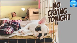 How to Survive Your Puppy's First Night in a Crate