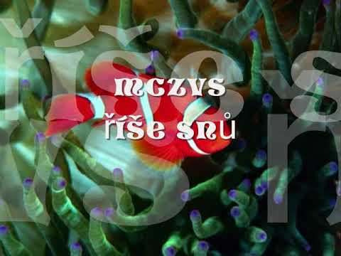 MCZVS- říše snů (audio)