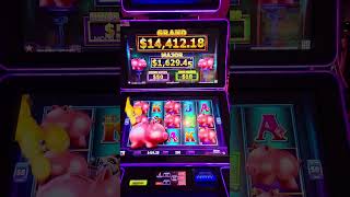 BACK TO BACK Bonus on PIGGY BANKIN’ Slot Machine!! Big Wins! MAX BET Pennies! #slots #casino