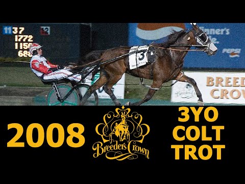 2008 Breeders Crown - In Focus - 3CT