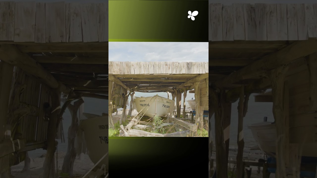 Project to renovate paving and various infrastructure services in Es Pujols