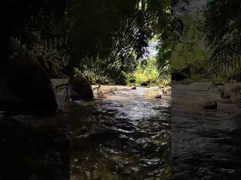 #asmr #nature #asmrsounds #asmrvideo #asmrwatersounds #asmrwater #water #riversounds #napo #tena #tu