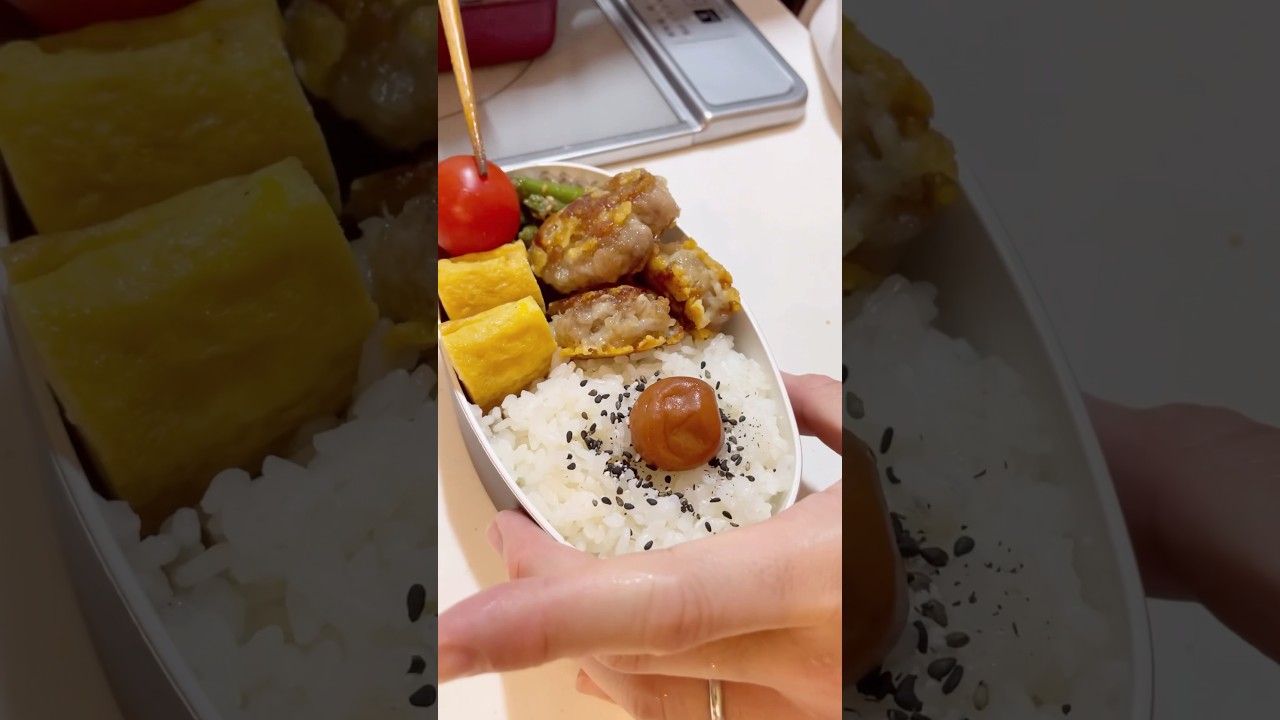 【お弁当作り】父と娘のお弁当の記録🍱2024/1/10 #shorts #お弁当