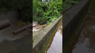 Temple video