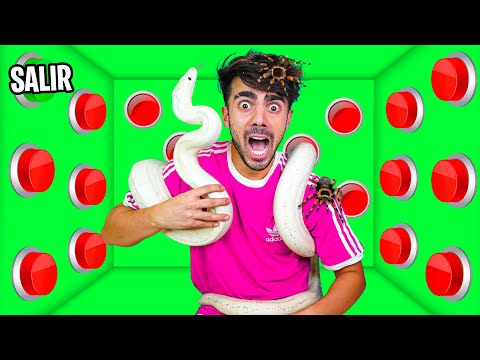 100 BOTONES MISTERIOSOS DE ANIMALES SOLO 1 PARA ESCAPAR!