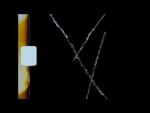 BloodkillTmoe-On the block wit me(official music video)