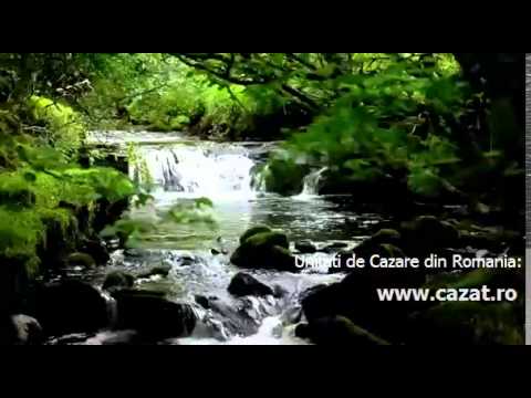 Cazare Obarsenii Lingurari, Vaslui - Cazat.ro