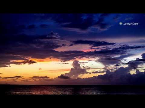 Nana Caymmi - Flor da Noite