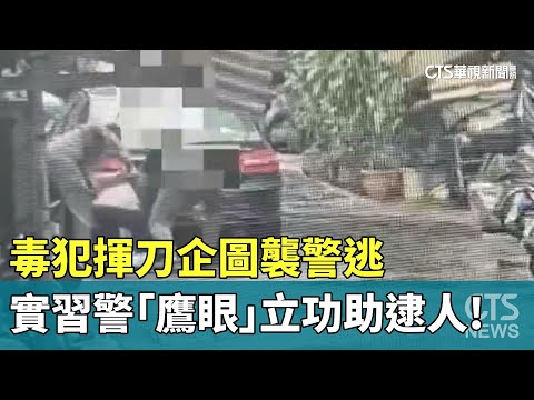 毒犯揮刀企圖襲警逃　實習警「鷹眼」立功助逮人！