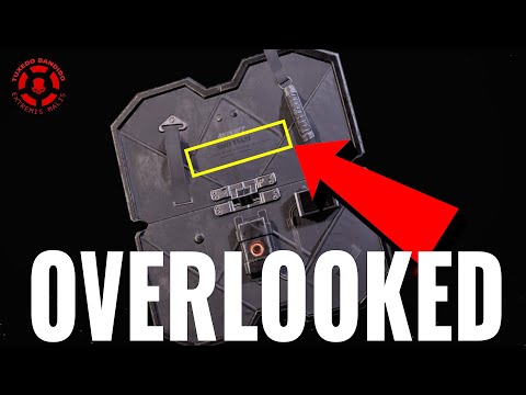Deflector Shield Build BUT Fatal Flaws are Killer Benefits | The Division 2