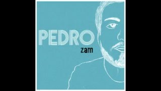 Pedro Vulpe - Wrong