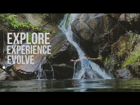Exploring the forest through natural movement 🌳| Sathish