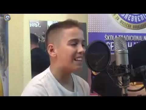 VEDIN MUSTAFIC - DVORE MELA HASANAGINICA