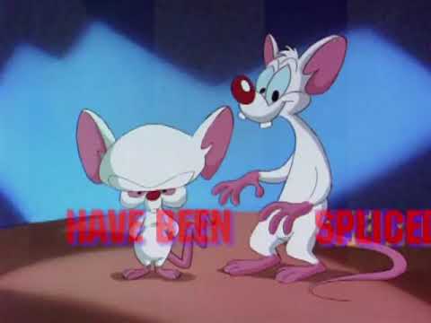 Pinkis ir Makaulė Intro (Lithuanian)