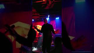 Pig Disobedience 2017 St  Paul