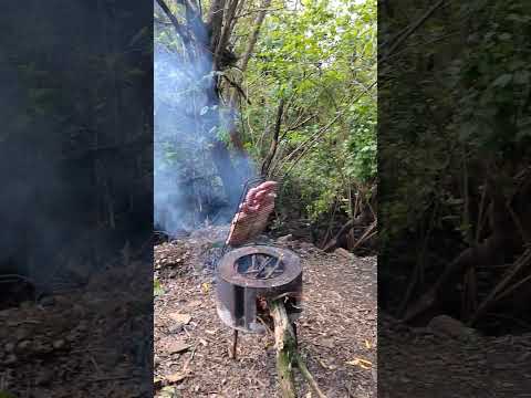 Día de la Primavera en Termas del Dayman -Salto