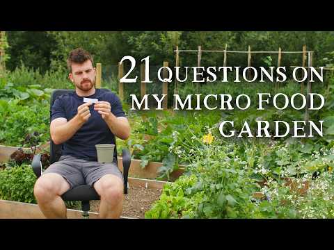 Exploring 21 Questions About My 6-Bed Self-Sufficiency Garden