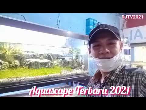 Aquascape Terbaru 2021