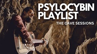 &quot;Psilocybin Playlist&quot; - An Original Song by Sean Rowe