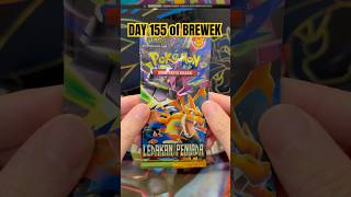 Day 155 of BREWEK #pokemon #pokemonchannel #pokemoncards #pokemontcg #pokemonindonesia