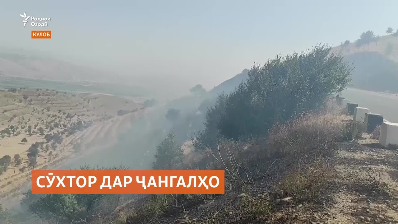 Ҷангалбонҳо талаб доранд, ки падари кӯдак зарари сӯхторро ҷуброн кунад