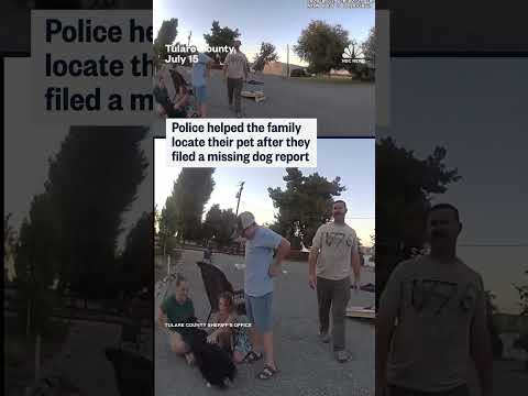 Dog reunited with owners after being lost for nearly 10 days