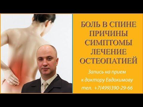 Пателлофеморальный сустав лечение Движения височно нижнечелюстного сустава